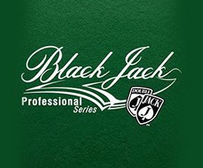 Play Blackjack Professional Casino Game Online in UK