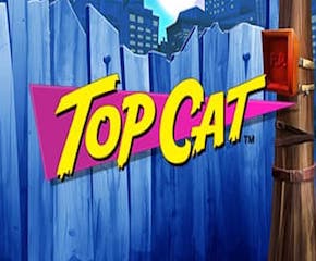 Play Jackpot Slot Top Cat Online in UK