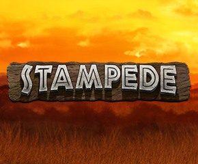 Play stampede slot at The Best Online Casino in UK